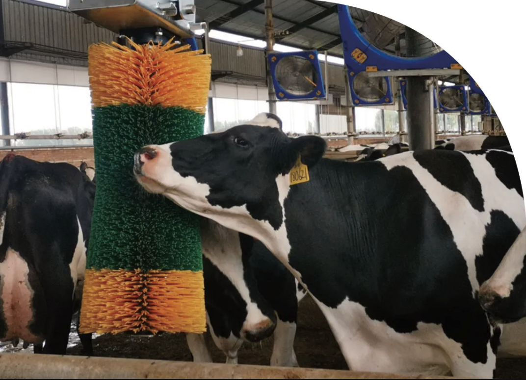 WX20250523-135038.png WX20250523-135038.png